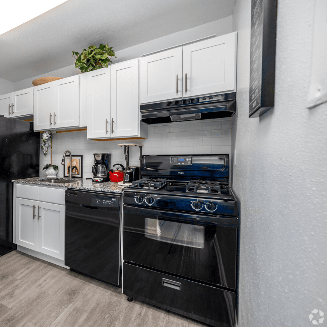 Luxury Kitchen Apartment